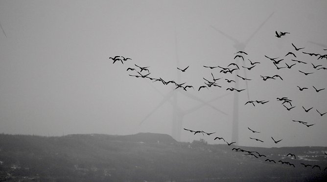 Magischer Moment (Foto: Eva Maria Wiegand)