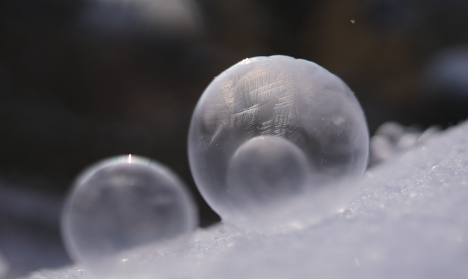 Der Winter kann auch Künstler sein (Foto: Maike Neise) Der Winter kann auch Künstler sein (Foto: Maike Neise)