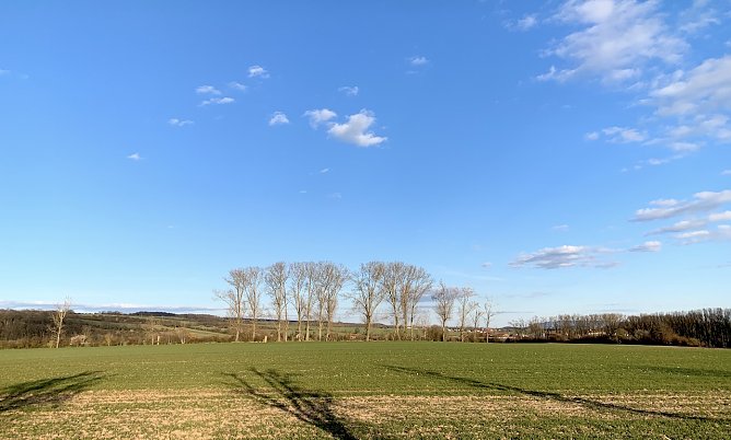 Blick in die Windlücke (Foto: oas) Blick in die Windlücke (Foto: oas)