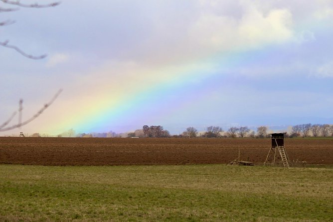 Regenbogen am Stausee Kelbra (Foto: Eva Maria Wiegand)
