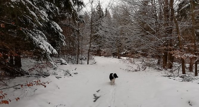 In Sophienhof ist weiter Winter (Foto: W.Jörgens) In Sophienhof ist weiter Winter (Foto: W.Jörgens)