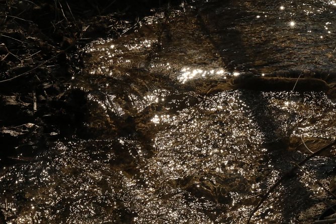 Wetterbild (Foto: agl) Wetterbild (Foto: agl)