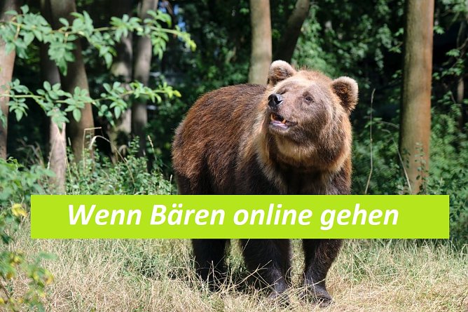 Den B&auml;renpark Worbis kann man jetzt auch online besuchen (Foto: B&auml;renpark Worbis)