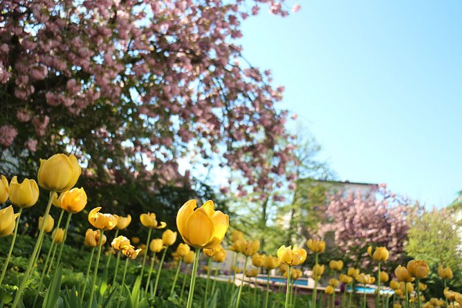 Wetterbild (Foto: agl) Wetterbild (Foto: agl)