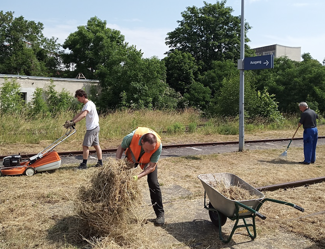 Arbeitseinsatz am Streckennetz der Unstrut-Bahn (Foto: Landratsamt Kyffhäuser) Arbeitseinsatz am Streckennetz der Unstrut-Bahn (Foto: Landratsamt Kyffhäuser)