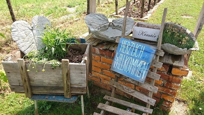 Tag der "Offenen Gärten" (Foto: Gartenverein Glückauf) Tag der "Offenen Gärten" (Foto: Gartenverein Glückauf)