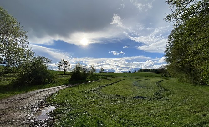Wiese bei Limlingerode (Foto: oas)