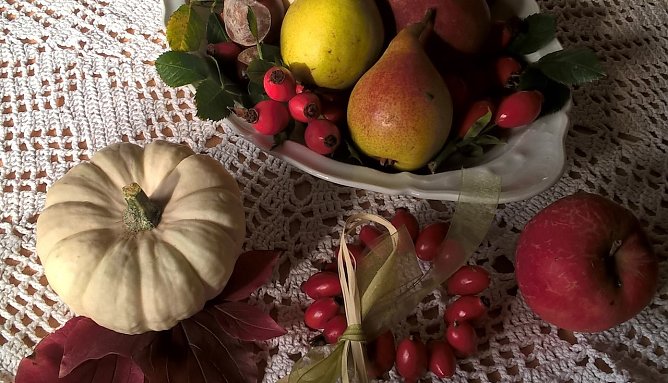 Produktschau am nächsten Samstag (Foto: Kleingartenverein Glückauf Sondershausen ) Produktschau am nächsten Samstag (Foto: Kleingartenverein Glückauf Sondershausen )