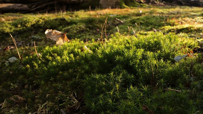 Wetterbild (Foto: agl) Wetterbild (Foto: agl)
