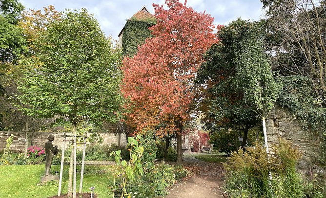 Im Arboretum in Bad Langensalza (Foto: oas)