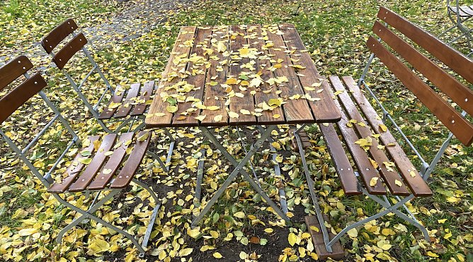 Verwaiste Freifl&auml;che (Foto: oas)