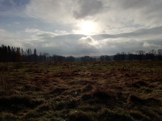 In Sophienhof zeigte sich der Herbst heute auch von seiner schönen Seite (Foto: W. Jörgens) In Sophienhof zeigte sich der Herbst heute auch von seiner schönen Seite (Foto: W. Jörgens)