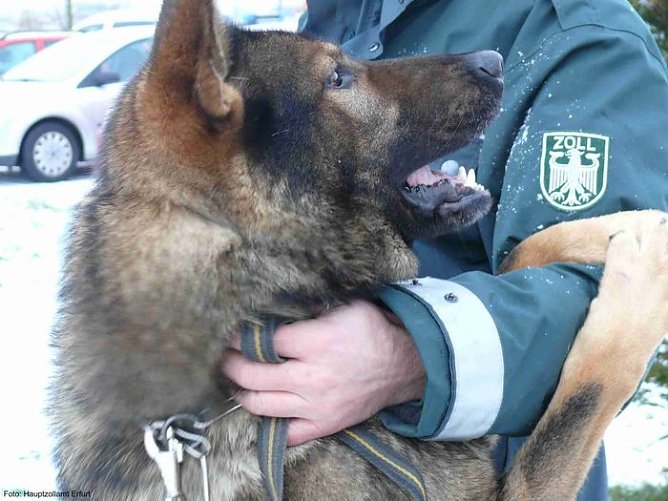 Nike (Foto: Zoll) Nike (Foto: Zoll)