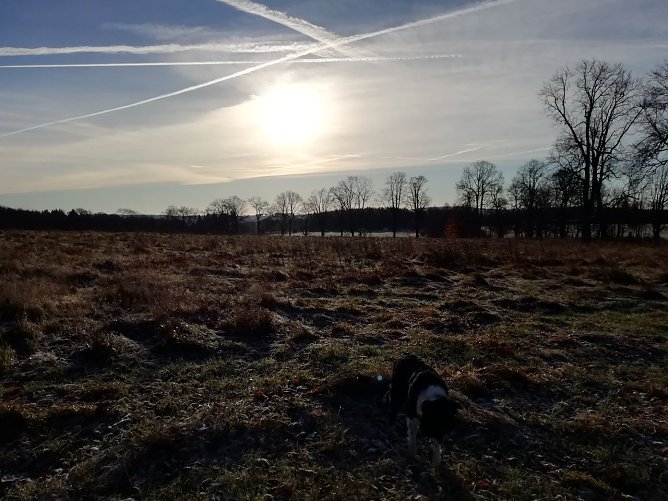 Frost in den Hochlagen bis weit in den Vormittag  (Foto: W.J&ouml;rgens)