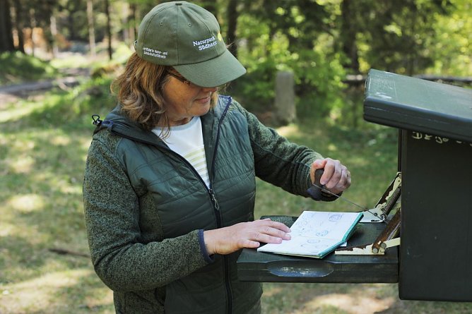Stempel am Dreiherrenstein (Foto: Paula Schneller)