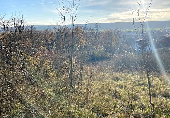 Sonderbaufl&auml;che (Foto: Jana R&uuml;diger-Initiative "Gr&uuml;nfl&auml;chenerhalt")