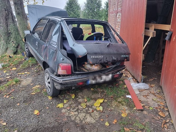 Vogel verursachte Unfall (Foto: Feuerwehr Ebeleben/Silvio Dietzel)