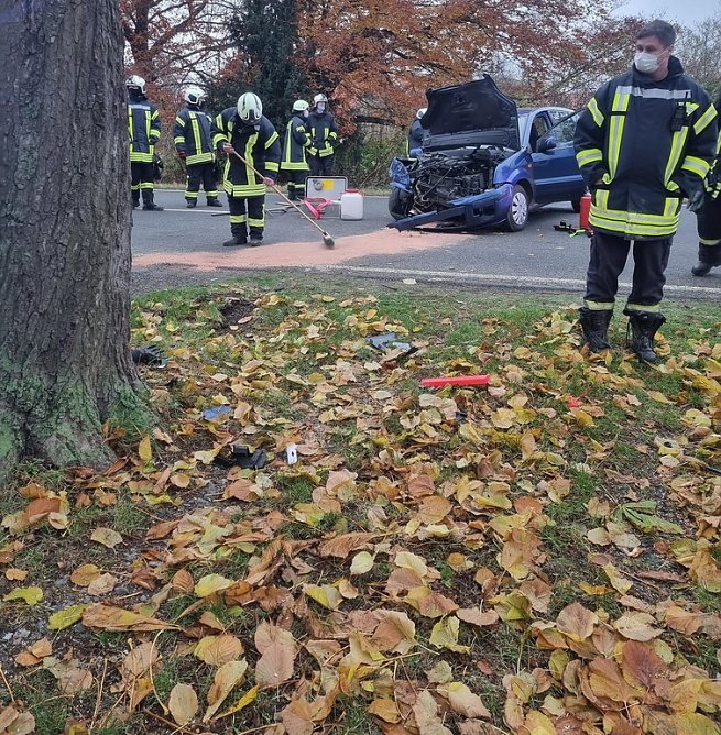 Vogel verursachte Unfall (Foto: Feuerwehr Ebeleben/Silvio Dietzel)
