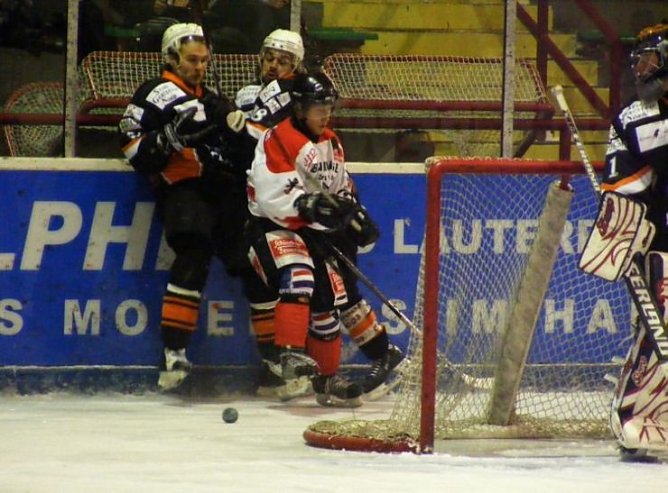 wölfe (Foto: wölfe) wölfe (Foto: wölfe)