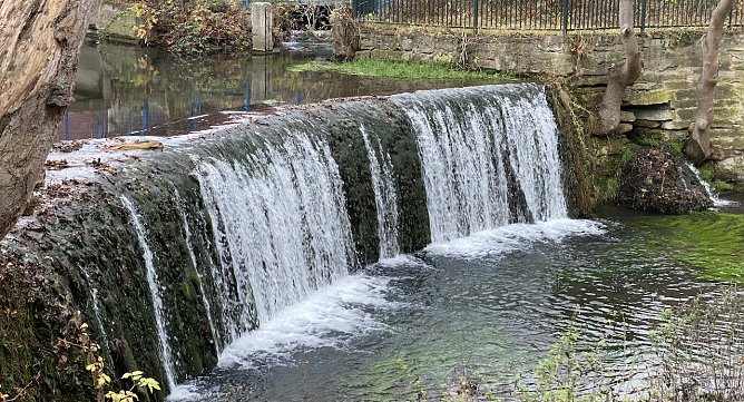 Mildes Wetter begleitet uns in den 4. Advent (Foto: oas)