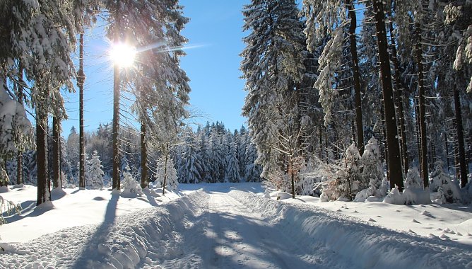 Derzeit zeigt sich der Winter in Th&uuml;ringen zumindest in den Hochlagen von seiner sch&ouml;nen Seite: Waldwandernde sollten aber die Rutsch- und Gl&auml;ttegefahr auf verschneiten Waldwegen nicht untersch&auml;tzen (Foto: Horst Spro&szlig;mann)