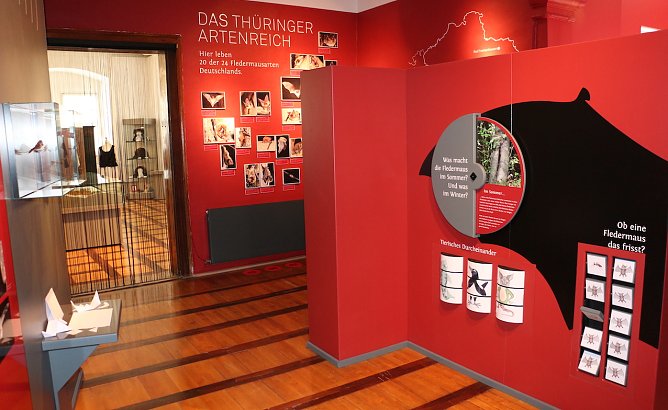 Blick in die Ausstellung "Heimliche Nachbarn" (Foto: Regionalmuseum Bad Frankenhausen)