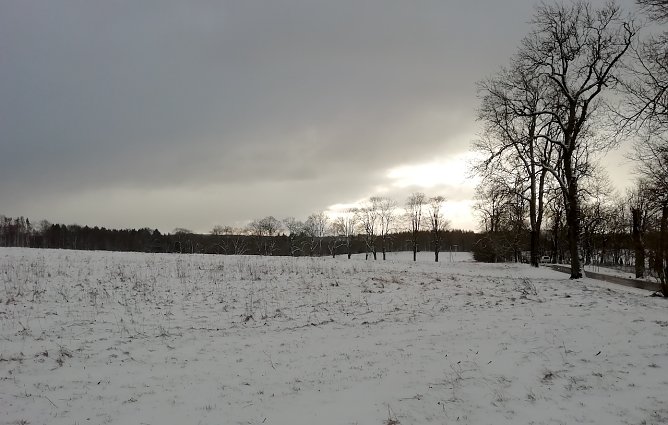 Leichter Schneefall bei Wind und 0 Grad beherrschen derzeit Sophienhof im Harz (Foto: W.Jörgens) Leichter Schneefall bei Wind und 0 Grad beherrschen derzeit Sophienhof im Harz (Foto: W.Jörgens)