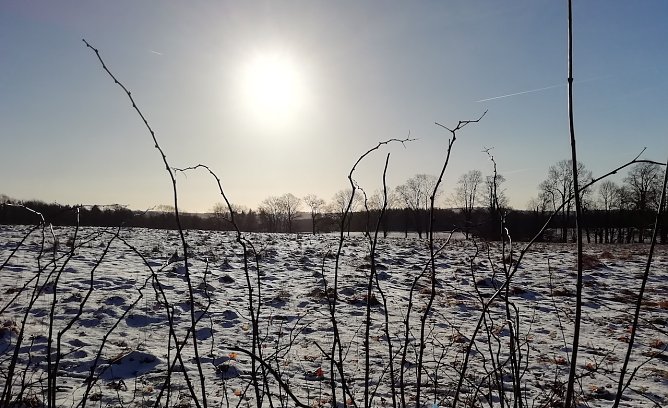 Minus 6 Grad und 1 Zentimeter Neuschnee heute im Harz (Foto: W.Jörgens) Minus 6 Grad und 1 Zentimeter Neuschnee heute im Harz (Foto: W.Jörgens)