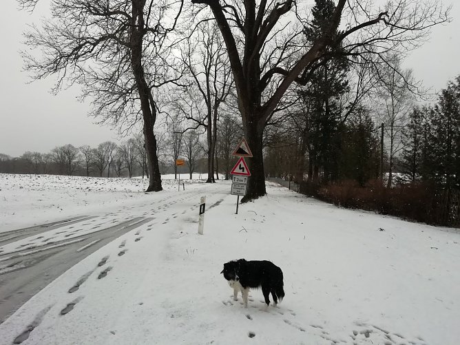 In den Hochlagen bleibt es auch heute ungemütlich (Foto: W. Jörgens) In den Hochlagen bleibt es auch heute ungemütlich (Foto: W. Jörgens)