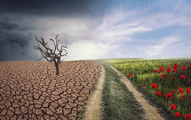 Klimawandel (Foto: Picabay-ELC21) Klimawandel (Foto: Picabay-ELC21)