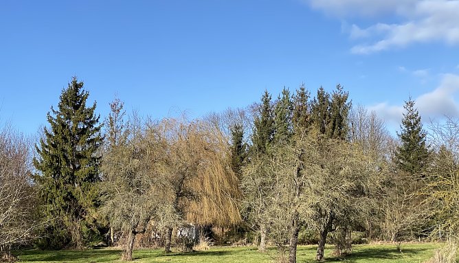 Viel Sonnenschein prägte den März, außer in Thüringen (Foto: oas) Viel Sonnenschein prägte den März, außer in Thüringen (Foto: oas)