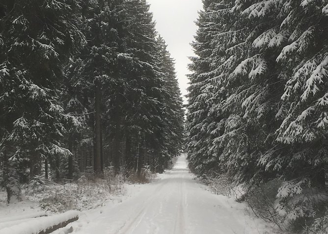 Er ist wieder da: der Winter! (Foto: oas) Er ist wieder da: der Winter! (Foto: oas)