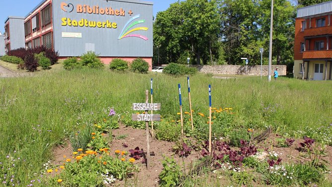 Innenstadtkita entsteht auf dem Gel&auml;nde der "alten Bibliothek" in Sondershausen (Foto: Eva Maria Wiegand)