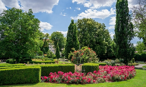 Der Rosengarten in voller Bl&uuml;te (Foto: KTL)