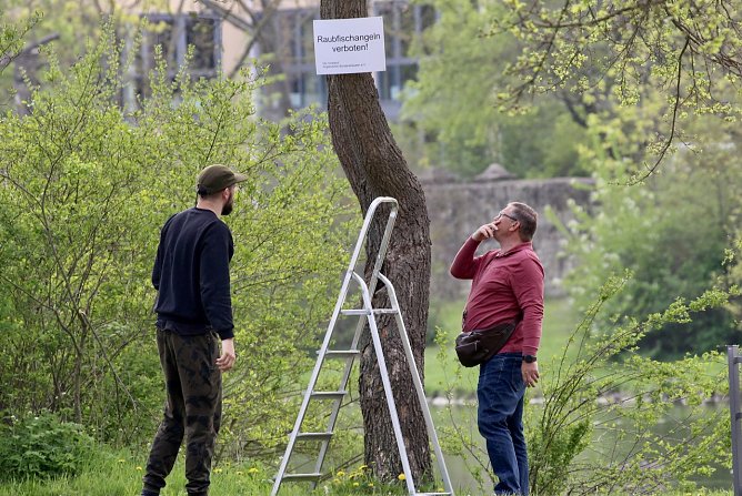 Mitglieder des Anglervereins Sondershausen bringen Warnschilder am gro&szlig;en Parktteich im Schlosspark Sondershausen an (Foto: Eva Maria Wiegand)