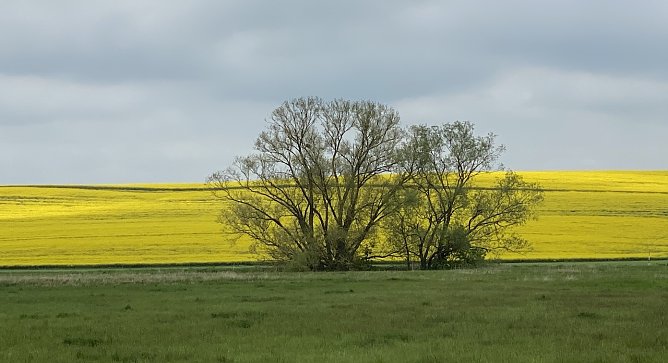 Nach den Gewittern wird es deutlich k&uuml;hler (Foto: oas)