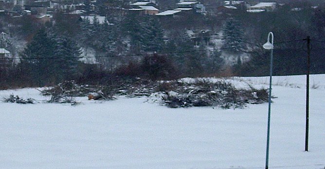 Winterwetter 3 (Foto: Karl-Heinz Herrmann)