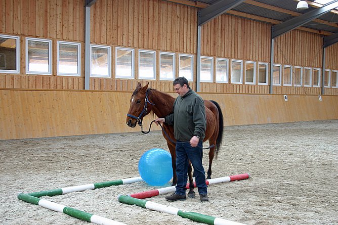 Lernen in der Reithalle (Foto: CSI) Lernen in der Reithalle (Foto: CSI)