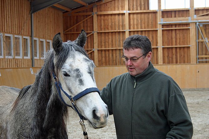 Lernen in der Reithalle (Foto: CSI) Lernen in der Reithalle (Foto: CSI)