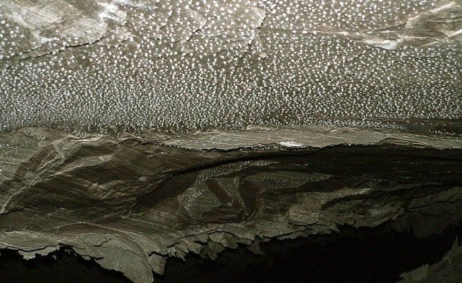 Kristalldecke in der Barbarossah&ouml;hle (Archiv) (Foto: Nationalen GeoPark Kyffh&auml;user - Anke Schreier)