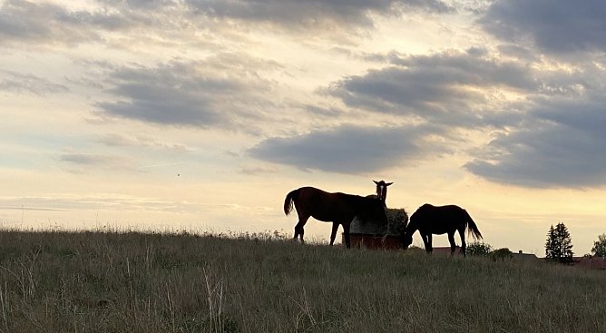 Weiter regnerisch und k&uuml;hl (Foto: oas)