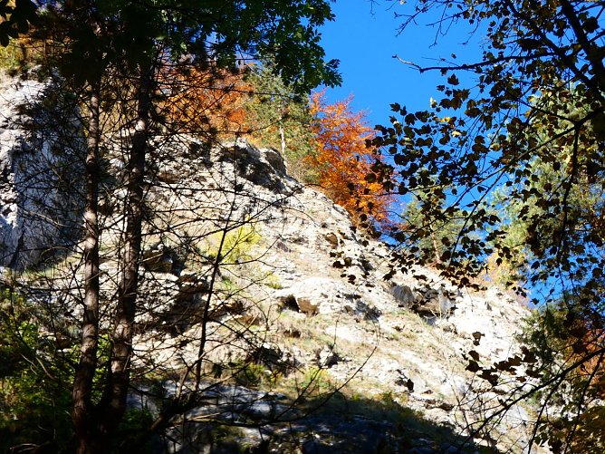 Am Alten Stolberg gibt es viel zu entdecken (Foto: Anja Apel)