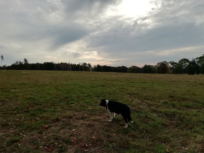 Herbstlich grau war der Morgen heute in Sophienhof (Foto: W. Jörgens) Herbstlich grau war der Morgen heute in Sophienhof (Foto: W. Jörgens)