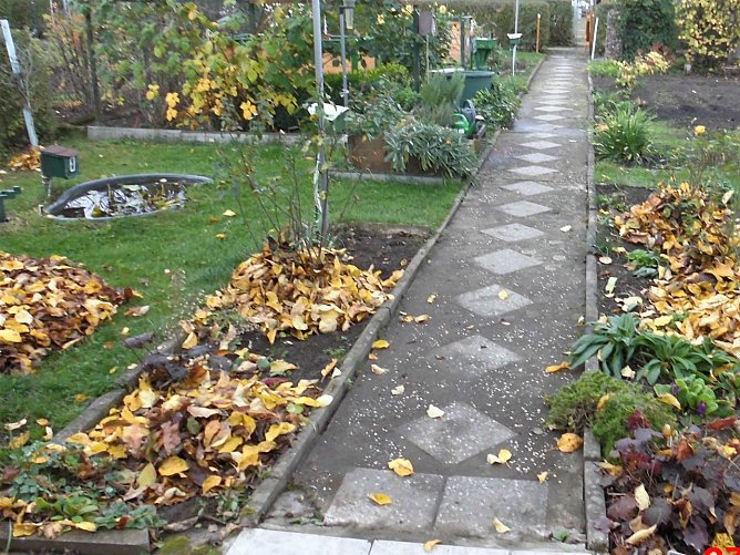 Auch im Herbst gibt es viel zu tun... (Foto: W. Schumann)