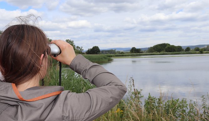 Stationsfest in Auleben mit Kranichbeobachtung (Foto: S.Staubitz) Stationsfest in Auleben mit Kranichbeobachtung (Foto: S.Staubitz)