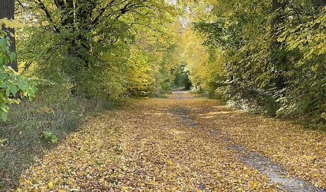 Herbstwetter bleibt freundlich (Foto: oas) Herbstwetter bleibt freundlich (Foto: oas)