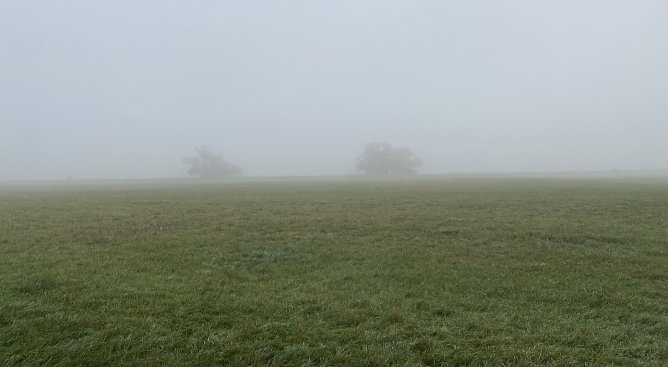 Vielerorts in Th&uuml;ringen nachts und am Morgen neblig (Foto: oas)