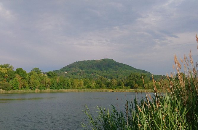 Der Frauenberg bei Sondershausen (Foto: Anja Apel)
