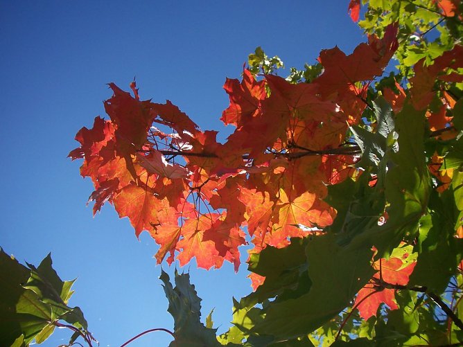 Wetterbild (Foto: wirsinds)