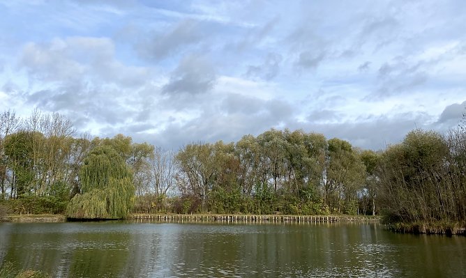 Der Deutsche Wetterdienst erwartet einen stürmischen Jahreswechsel (Foto: oas) Der Deutsche Wetterdienst erwartet einen stürmischen Jahreswechsel (Foto: oas)